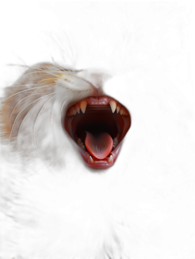 photorealistic, wide shot of the mouth and fangs of an angry cat on black background, eyes closed, teeth showing