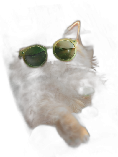 A cat wearing green sunglasses, the photo taken from the front with a black background, macro photography, cute and dreamy, in the style of daz3d, bokeh effect, high resolution