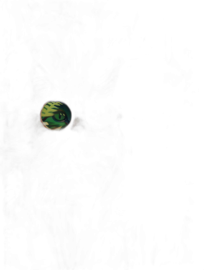 A small glowing round portal on the black background, inside of which there is an eye with green and yellow color in dark tones, with high detail in the style of realism and photo in a cinematic style.